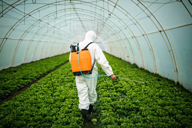 Best Pest Control Near Me  in Accokeek, MD