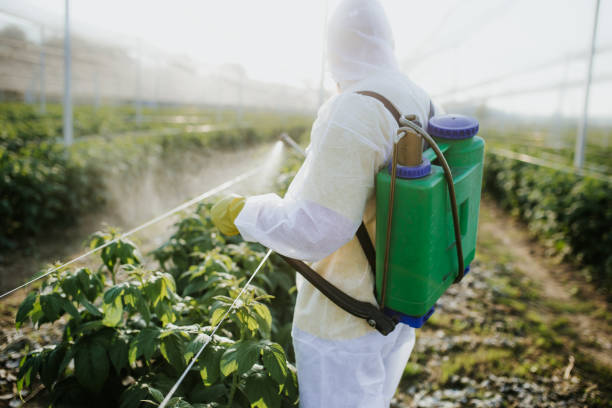 Best Best Pest Control Near Me  in Accokeek, MD